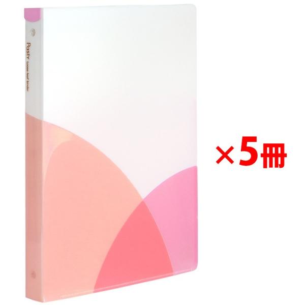 vX [Y[toC_[ Ch B5 c Pasty pXeB s[`sN  5 98-810 ×5