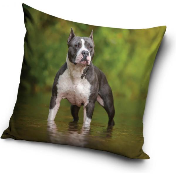 犬　子犬　アメリカンスタッフォードシャーテリア　クッション　枕　背あて　40cm x 40cm