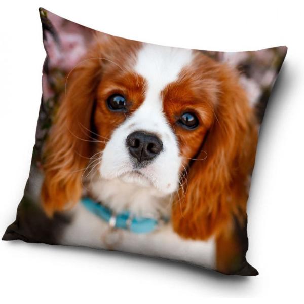 犬　子犬　キャバリア　クッション　枕　背あて　40cm x 40cm