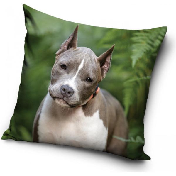 犬　子犬　アメリカン・ピットブル・テリア　クッション　枕　背あて　40cm x 40cm