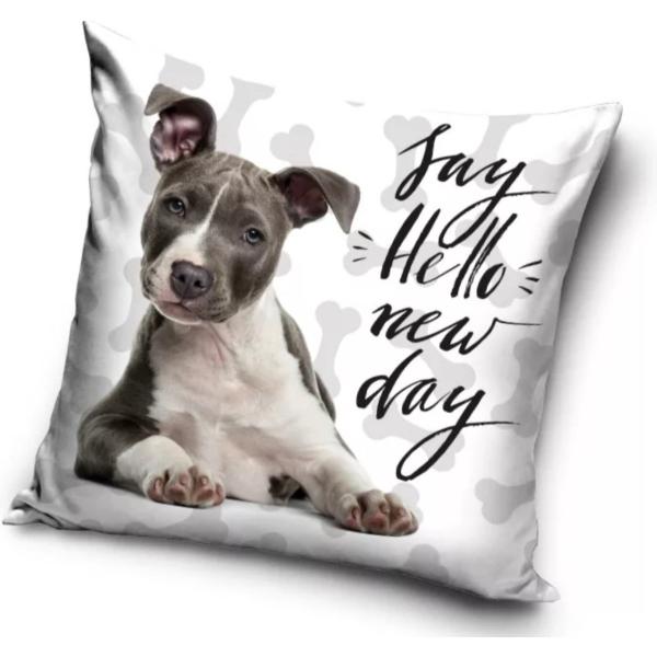 犬　子犬　アメリカンスタッフォードシャーテリア　クッション　枕　背あて　40cm x 40cm
