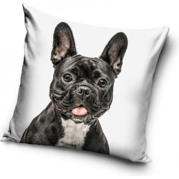 犬　子犬　ブルドッグ　クッション　枕　背あて　40cm x 40cm