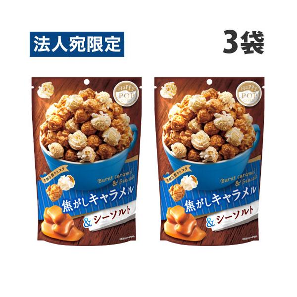 ♥【BOHOBOCO】ボホボコ シーソルトキャラメル 2個セット ②1201