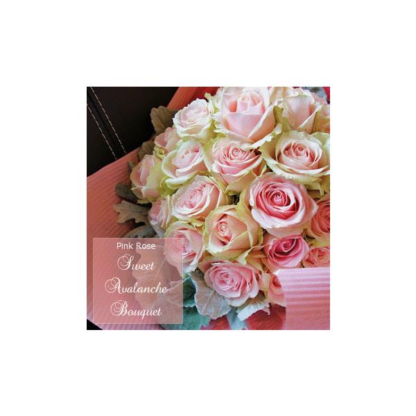 o ԑu{wősN[YvsN {w  a LO zCgf[ ̓ ̓ hV̓ NX}X