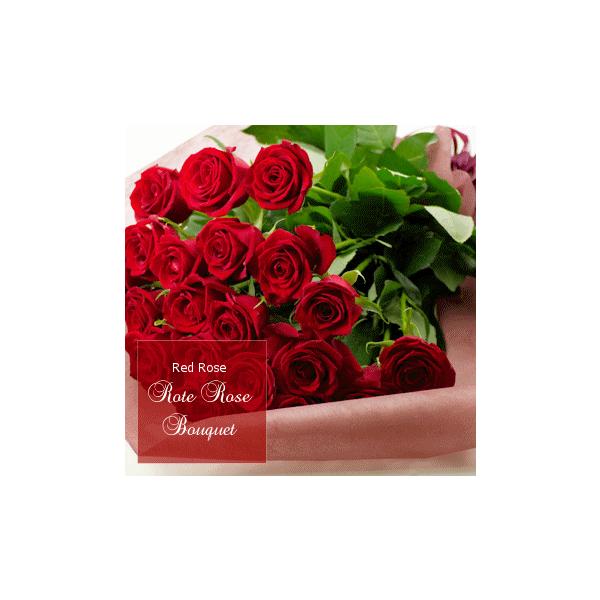 o ԑu{wő郌bh[Yv  {w  a LO zCgf[ ̓ ̓ hV̓ NX}X