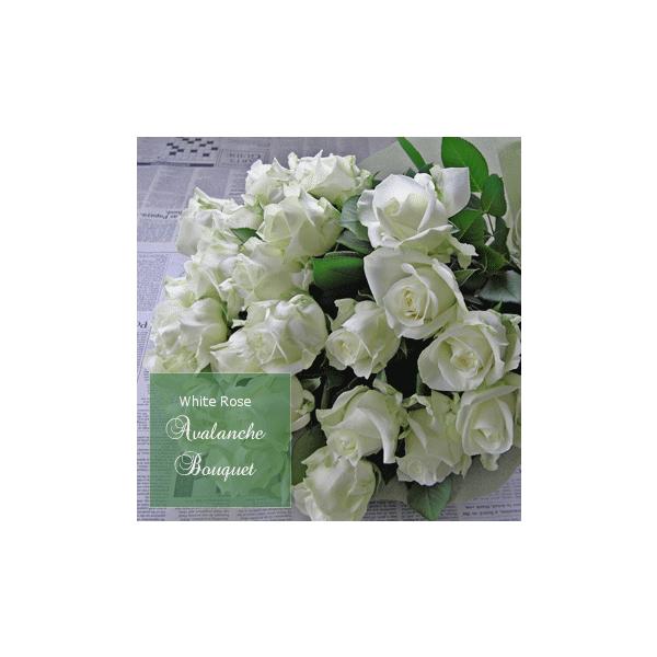 o ԑu{wőzCg[Yv {w  a LO zCgf[ ̓ ̓ hV̓ NX}X