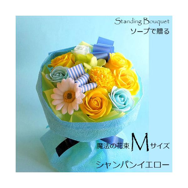 \[vt[ő閂@̉ԑMTCYLTCYTCYAbvTu VpCG[v  zCgf[ ̓ ̓ hV̓ a