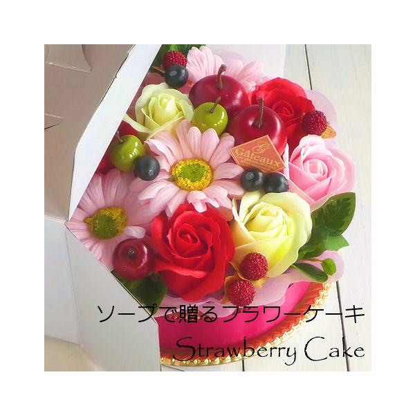 \[vt[ut[peBVGvXgx[P[L a LO oYj zCgf[ ̓  NX}X P[Lt[ 