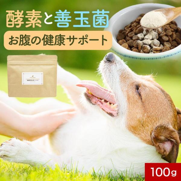 [Release date: September 28, 2023]愛犬のスッキリ快調な毎日に！■内容量 100g■原産国名 日本■原材料 難消化性デキストリン（国内製造）、ビール酵母、フラクトオリゴ糖、ガラクトオリゴ糖、植物発酵エキス（コ...