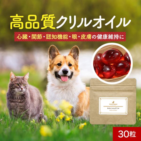 高品質クリルオイル！12のフリーわんにゃんクリル■内容量 13.5g（450mg×30粒）■原産国名 日本■原材料 クリルオイル（オキアミ抽出物）、 ゼラチン、グリセリン関連ワード犬 猫 国産 サプリメント  DHA EPA アスタキサンチ...