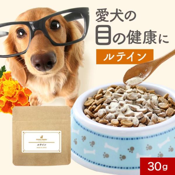 犬 サプリメント 犬用サプリ ルテイン ペット用品 緑黄色野菜 ブルーベリー カシス シニア犬 小型犬 中型犬 粉末タイプ 国産