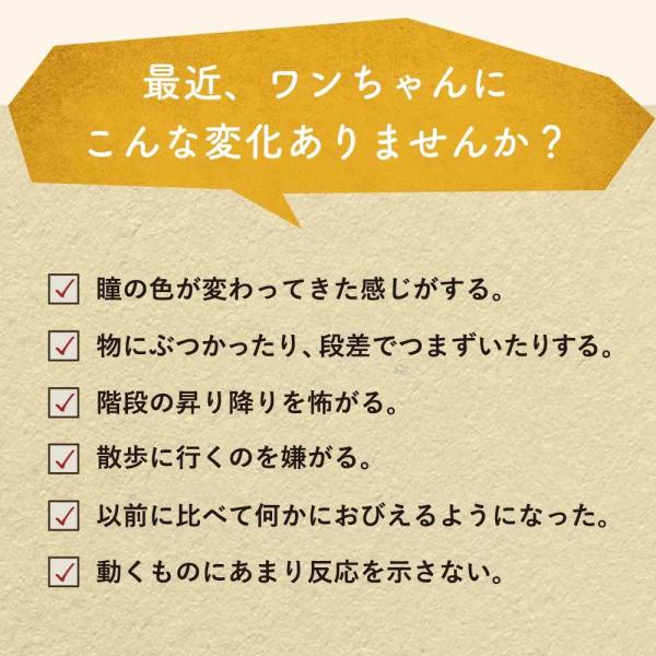 ルテイン 30g 犬 サプリ 送料無料 目 ドッグフード と一緒に アイケア ブルーベリー 白内障 予防 に ぽっきり サプリメント Buyee Buyee 提供一站式最全面最專業現地yahoo Japan拍賣代bid代拍代購服務 Bot Online