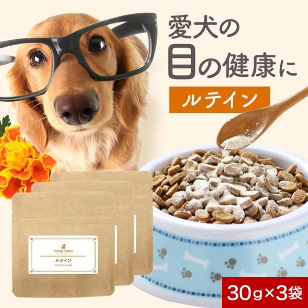 愛犬の目の健康のためにルテイン！どんなフードにも相性のいい粉末タイプ■内容量 30g×3袋■原産国名 日本■原材料 ビール酵母、麦芽糖、デキストリン、ビーフパウダー、果汁混合末（デキストリン、ブルーベリー果汁、ブラックカーラント果汁、レッド...