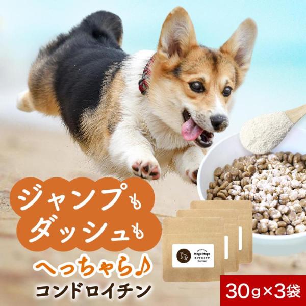 元気に歩く愛犬のお手伝い！■内容量 30g×3袋■原産国名 日本■原材料 ビール酵母、麦芽糖、デキストリン、かつお節末、サメ軟骨エキス末（サメ軟骨抽出物、デキストリン）、かつおエキス、魚肉抽出物（デキストリン、魚肉抽出物）／ビタミンC、リン...
