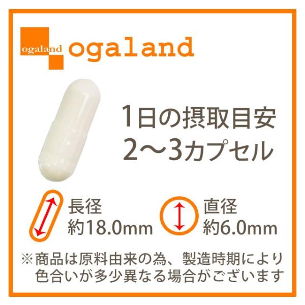 シスチン (Lシスチン システイン アミノ酸) ビタミンC
