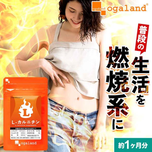 カルニチン サプリ ダイエット アミノ酸 ポイント利用