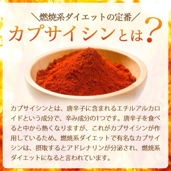送料無料 お試し ポイント消化 1000円 カプサイシン 唐辛子