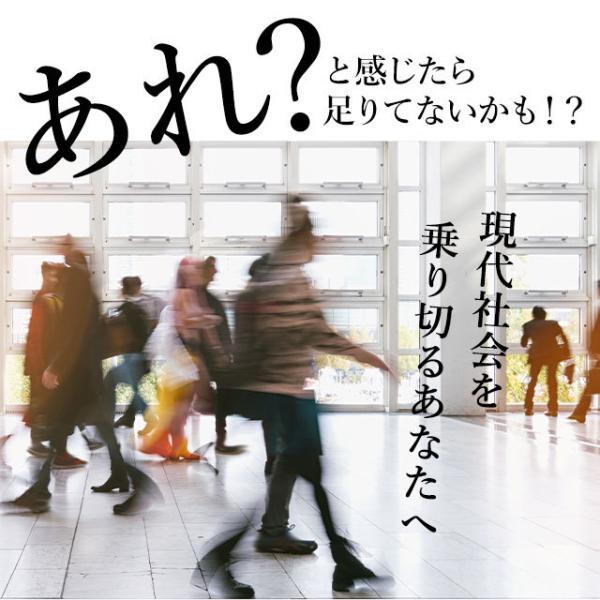 カシス サプリ クランベリー サプリメント エイジングケア アサイー エルダーベリー など7種類のベリーを配合 約6ヶ月分 半年分 Jb Buyee Buyee Japanese Proxy Service Buy From Japan Bot Online
