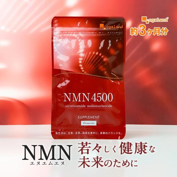 新品未開封 NMN SWITCH NMN4500 ogaland NMN 4500 （約3ヶ月分） 高純度 高品質 エヌエムエヌ