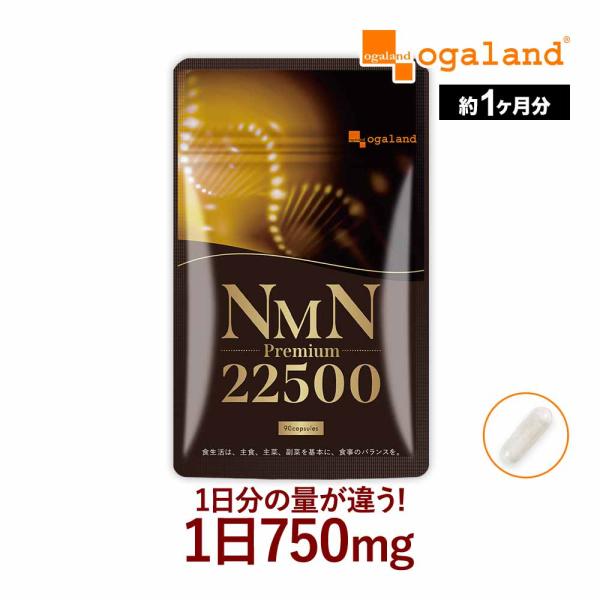NMNプレミアム22500（約1ヶ月分）サプリ 日本製 3粒で750mg 女性に人気 サプリメント 高純度99% ビタミン 小粒で飲みやすい 耐酸性カプセル  ポイント利用