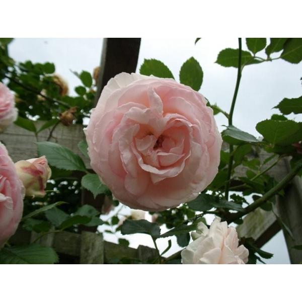 j[h[(oc:o)@c\@o̓a