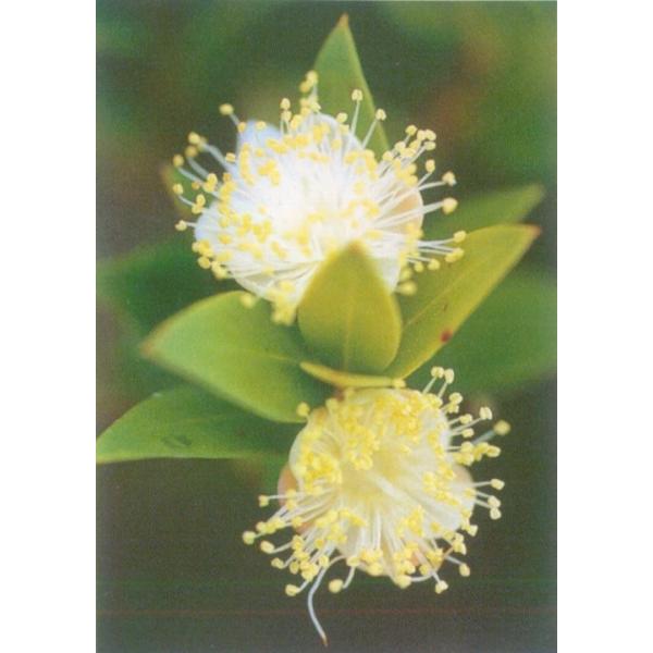 }[g@iʖMoCJj@n[uc@12cm|bg