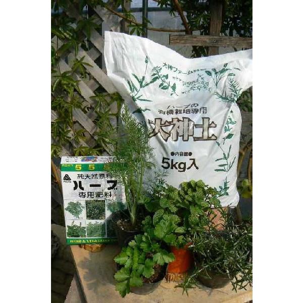 ハーブ栽培セット キッチンハーブ4種 Buyee Buyee 提供一站式最全面最专业现地yahoo Japan拍卖代bid代拍代购服务 Bot Online