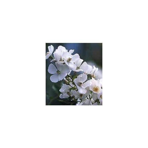 Xm[R[iocFCioj@c\@s_ѐYȁ@o^it