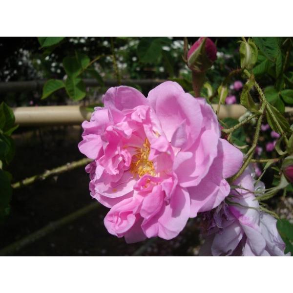 JUNiocFI[h[Y/_}XNj@c\