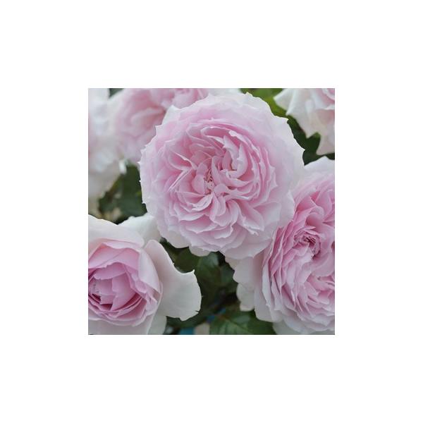 GEfB[`F(ocFTEIGeBXj@c\@s_ѐYȁ@o^it