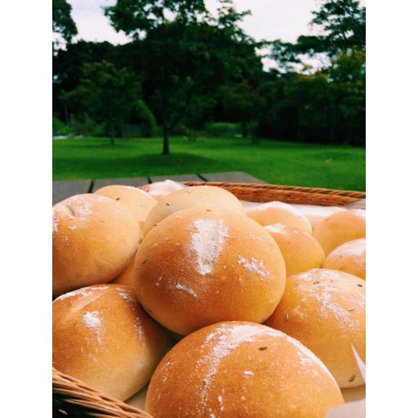 t@[̎ƐtXp@tX15@Yht̂Ԃhgp@ogafarmIWi