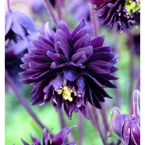 mI_}LEubNo[@h@K[fjOpi10.5cm|bgj