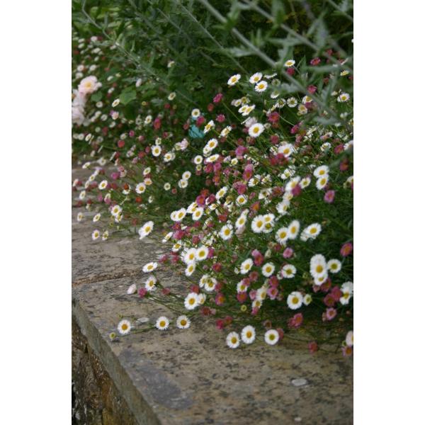 GQ@JrXLAkX@h@K[fjOpi10.5cm|bgj