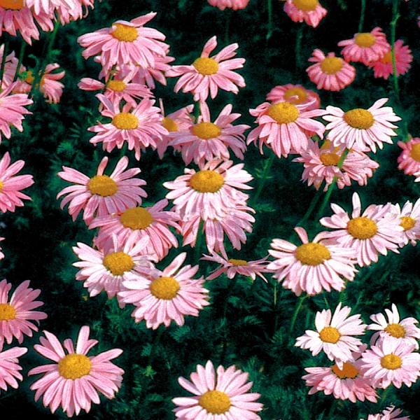 NTZ}@r\sN@h@K[fjOpi10.5cm|bgj