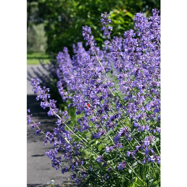 ly^@WjAEH[J[@h@K[fjOp