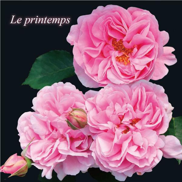 Ev^icj7A@TEIGeBX@oc@s_ѐYȁ@o^it@@