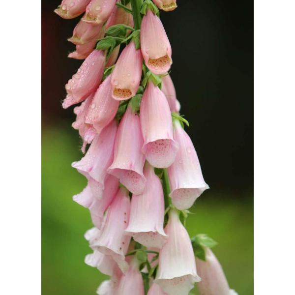 WM^X eTbgYAvRbgf@h@10.5cm|bg