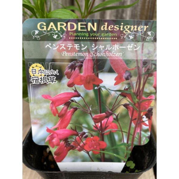 yXeEVz[[@h  10.5cm|bg