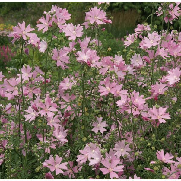 XN}E eAbvubTf@10.5cm|bg@h