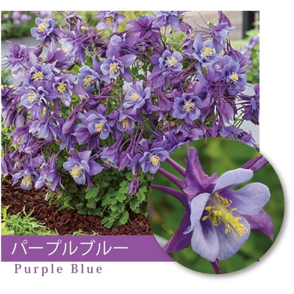 ANCMAimI_}Lj@hA[[o[hEp[vu[h@h@9cm|bg