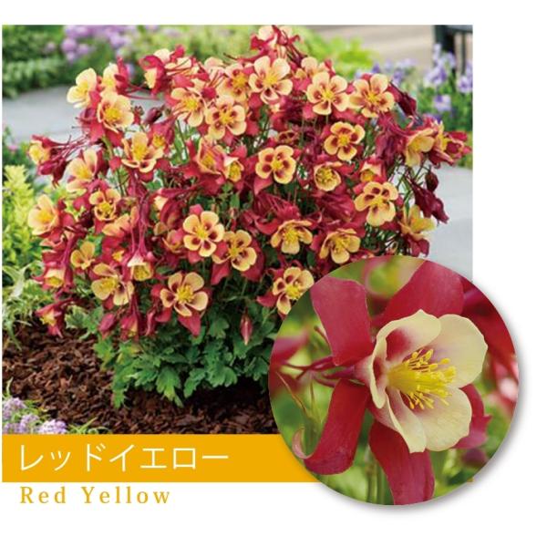 ANCMAimI_}Lj@hA[[o[hEbhCG[h@h@9cm|bg