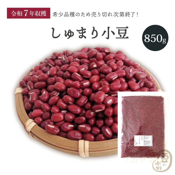 <配送に関する注意事項>●配送方法は基本メール便となりますが、複数ご注文の場合は盗難や破損防止のため宅配便での配送に切り替えさせて頂く場合が御座います（切り替えの有無は地域やご注文内容により店舗にて判断させて頂いております）。●...