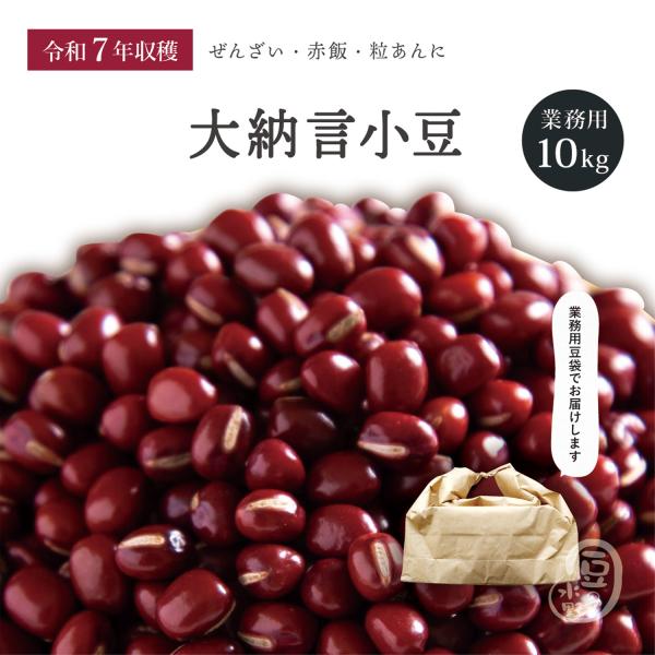 大納言小豆 10kg 令和7年収穫 北海道産 【業務用】 とよみ大納言 メガ盛り 10キロ