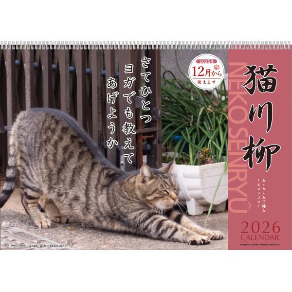 アートプリントジャパン 2026年【 月めくり/猫川柳 】猫川柳カレンダー