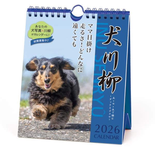 2026年 ダックス犬川柳 （週めくり）卓上 カレンダー スケジュール