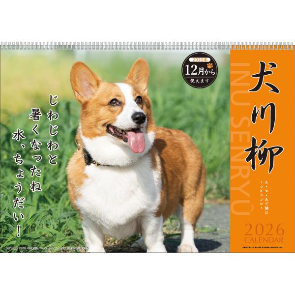 2026年【 月めくり / コーギー犬川柳 】 壁掛け カレンダー