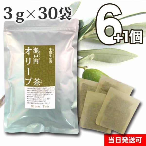 y܂Ƃߔłɑeʁz I[u N Y olive mJtFC I[ut eB[obO ˓ 100Nȏ㑱  쐶 6+1Zbg