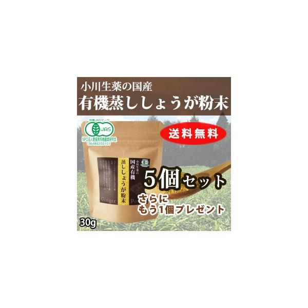 y܂Ƃߔłɑeʁz IpE_[ I Y I[KjbN L@ JAS mJtFC  NHi I I 쐶 5+1Zbg