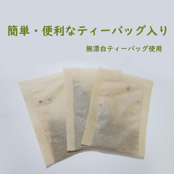 ogawasyouyaku_504384_4_d_20250430160638
