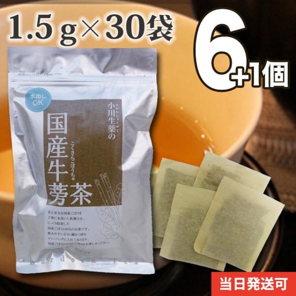 y܂Ƃߔłɑeʁz ڂ Y mJtFC eB[obO N  S{E 100Nȏ㑱  쐶 6+1Zbg